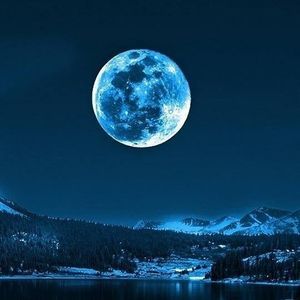 Meet your Posher, Billy